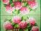 Serwetki do decoupage - 042