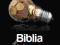 Biblia e-biznesu - HIT - 20 %