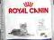 Royal Canin Indoor 7+ 2kg +Gratis! W-wa 24H.