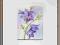 KN-P_akwarela _kwiaty