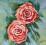 Akwarela 24 x 25 cm kwiaty róże S.Salamon