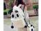 Cosplay - Plecak + Torebka Panda Japan Style