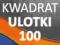 Ulotki kwadrat 100 szt. -DARMOWA DOSTAWA ulotka