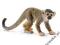 SCHLEICH Małpa wiewiórkowata 24DHL
