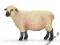 SCHLEICH Owca odmiana Shropshire 24DHL