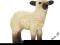 SCHLEICH Owieczka odmiana Shropshire 24DHL