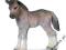 SCHLEICH Źrebię kuca Fell new 2013 24DHL