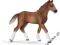 SCHLEICH Źrebię rasy Hanover new 2013 24DHL
