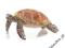 SCHLEICH Żółw Morski 24DHL