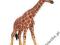 SCHLEICH ŻYRAFA 24DHL