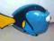 Interaktywna rybka Dorien Disney Pixar 24,5cm!!142