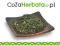 Herbata Zielona Sencha Japan Style NATURALNA
