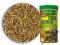 TROPICAL 100ML MEAL WORMS - SUSZONE LARWY MĄCZNIKA