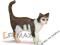 RĘCZNIE MALOWANA KOT STOJĄCY SCHLEICH