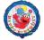 Balon foliowy ELMO Ulica Sezamkowa 45 cm