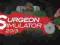 Surgeon Simulator 2013 - STEAM GIFT // AUTOMAT