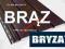 BRYZA BRĄZ podbitka podsufitka dachowa panele PCV