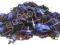 HERBATA CZARNA EARL GREY BLUE CEYLON 50g