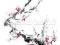 Wiśnia drzewo sakura obraz plakat sumi-e akwarela
