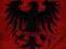 SILESIAN BLACK ATTACK - KREW ZIEMI CZARNEJ (CD)