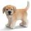 SCHLEICH GOLDEN RETRIEVER, SUCZKA new 09