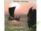Viking Echoes, Wikingowie, Wiking