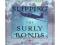 Slipping the Surly Bonds: Great Quotations on Flig
