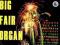 BIG FAIR ORGAN __ TAUGELS BROS __ /LP/