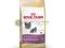 ROYAL CANIN British Shorthair 400+400g Bukowno