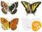Drewniane motyle ozdobne - 3 sztuki Drewniane motyle ozdobne - 3 sztuki