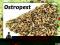 OSTROPEST Plamisty Nasiona Ziarno zbiór 2013 5kg
