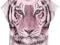 H&amp;M NOWA BLUZKA TYGRYS MORELA__146/152