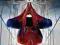 The Amazing Spider - Man 2 - ( Wii U ) - ANG