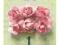 :EWA: Kwiatki papierowe 3cm RÓŻE ROSE 6szt.