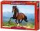 Puzzle 1500 Castorland 150755 Galloping Andalusian