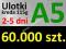 Ulotki A5 nakład 60000 szt., kreda 115g, 2-5 dni