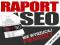 PROFESJONALNY RAPORT SEO, POZYCJONOWANIE +BONUS