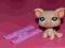 LPS Littlest Pet Shop akcesoria pojazd