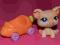 LPS Littlest Pet Shop akcesoria pojazd