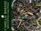 HERBATA Darjeeling Monteviot 2014 FTGFOP1 f.f. DJ1