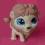 Littlest Pet Shop LPS Figurka lew