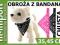 OBROŻA Z CHUSTKĄ DLA PSA CHUSTA BANDAMKA 35 i 45cm