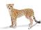 SCHLEICH GEPARD, SAMICA new 2010 DHL
