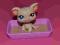 LPS Littlest Pet Shop akcesoria