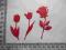 scrapki- tulipany+róża / 1,40 zł-kolor wybór