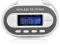 Wireless FM Transmiter Radio Apple iPod iPhone MP3