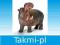 SCHLEICH Hipopotam OD RĘKI