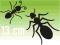 naklejka MRÓWKA mrówki 13 cm