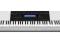 Keyboard Casio WK-220 &lt; Trio &gt;