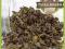 Oolong Tie Guan Yin 50g herbata czerwona